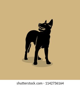 Australian cattle dog - vector illustration