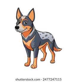 Australian Cattle Dog vector illustration isolated on white background in cartoon style.