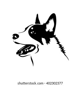 Australian cattle dog - vector illustration
