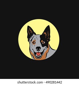 Australian cattle dog - vector illustration

