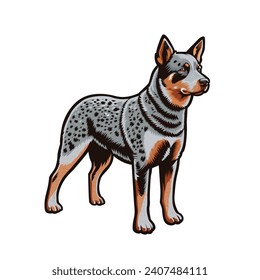 Australian Cattle dog vector isolated. This versatile design is ideal for prints, t-shirt, mug, sticker, poster, and many other tasks. Good for any commercial use.