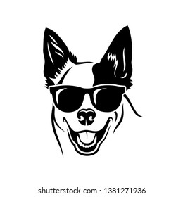 Australian cattle dog wearing sunglasses - vector illustration 