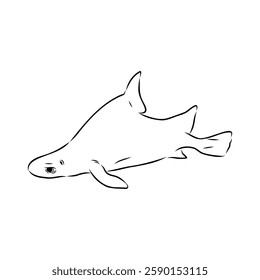 Australian centrina, vector sketch shark, vector sketch Vector illustration of a shark