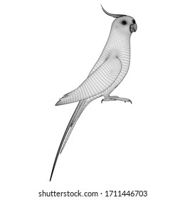 Australian Cockatiel parrot polygonal lines illustration. Abstract vector parrot on the white background