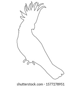 An Australian Cockatoo bird outline