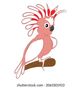 australian cockatoo parrot bird pink cartoon flat style tropical parrots crested cockatoo for textile decoration packaging flat style isolated on white background. Vector illustration