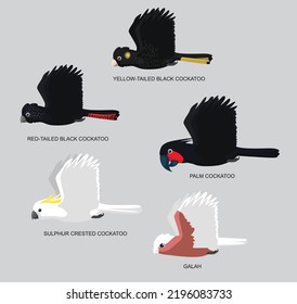 Australian Cockatoo Set Flying Cartoon Character Cute Vector Illustration
