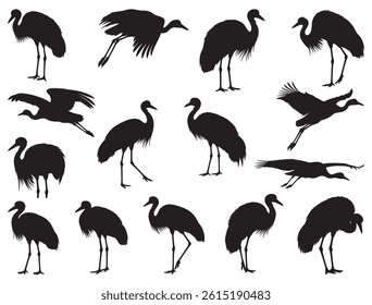 Australian Crane Bird Silhouette White Background
