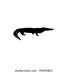 Australian crocodile icon. Elements of the fauna of Australia icon. Premium quality graphic design icon. Baby Sign, icon for websites, web design, mobile on white background