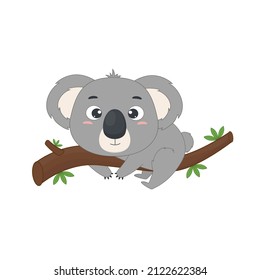 Australian cute koala on a eucalyptus branch. . Vector illustration for designs, prints and patterns.