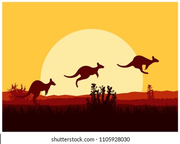  Australian Desert. Silhouette Of Kangaroo. Sunset.