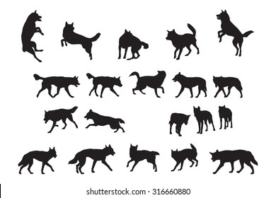 Australian Dingo Silhouettes Collection