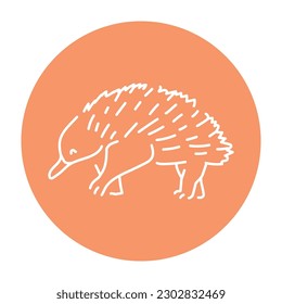 Australian echidna color line illustration. Animals of Australia.