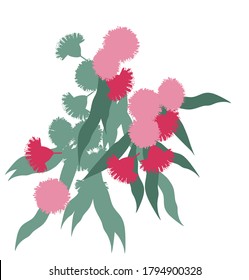 Australian eucalyptus branch with flowers and leaves pattern vector graphics background texture