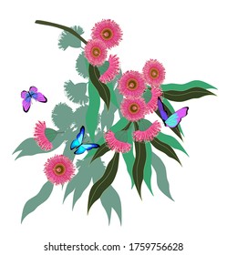 Australian eucalyptus branch with leaves and flowers and butterflies vector graphics