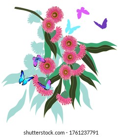 Ramas de eucalipto australiano con hojas y flores y gráficos vectores de mariposas