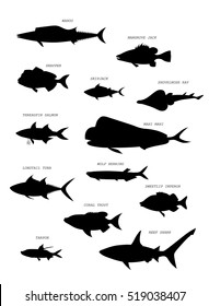 Australian fish silhouette. Hand drawing vector image set.