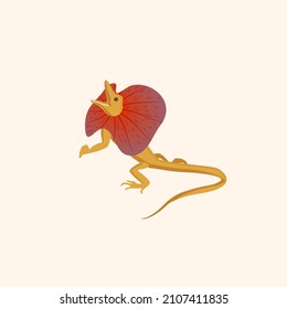 Australian frilled-necked lizard. Vector illustration isolated on white background. nesting