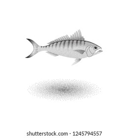 Australian herring fish with stipple effect in black and white