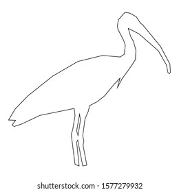 An Australian Ibis bird outline