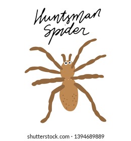 Australian insect Huntsman Spiderl vector illustration clipart. Kids design poster. 
Wild mammal drawing in scandinavian style. Handwritten lettering. Exotic wildlife. 