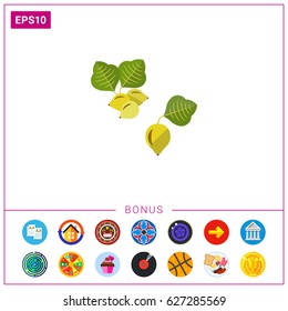 Australian kakadu plum vector icon