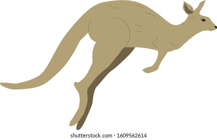 Australian Kangaroo is running. vector illustration