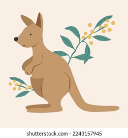 Australian Kangaroo Wallaby with Wattle Mimosa Flowers and Leaves Isolated