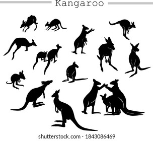 Australian kangaroos, individually and in various groups, isolated on white background in vector. Black and white animal silhouettes for design. 