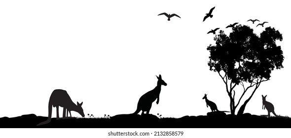 Australian kangaroos as a landscape vector with Australian gum tree