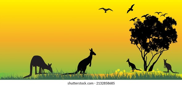 Australian kangaroos as a landscape vector with Australian gum tree