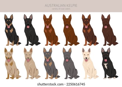 Australian Kelpie all colours clipart. Different coat colors set. Vector illustration