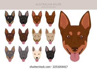 Australian Kelpie all colours clipart. Different coat colors set. Vector illustration