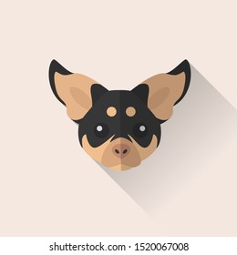 Australian Kelpie Dog Head Vector Flat Design Illustration from Front View for Website Icon, Social Media and Blog Post