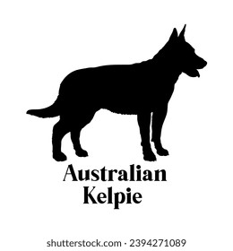 Australian Kelpie Dog silhouette dog breeds logo dog monogram logo dog face vector