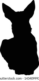 Australian Kelpie Dog Silhouette Isolated On White