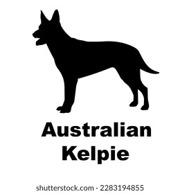 australian kelpie silhouette dog breed