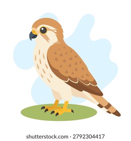 Australian kestrel perched in flat vector style. Australian kestrel illustration highlights Falco cenchroides with wildlife education theme.