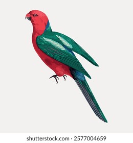 Australian king parrot bird sticker, vintage animal illustration, green bird vector element. Green colored bird animal drawing illustration, vintage style art work of animal. Bird vintage artwork.