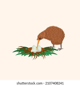 El kiwi australiano en el nido con huevos. Ilustración vectorial aislada en fondo blanco.