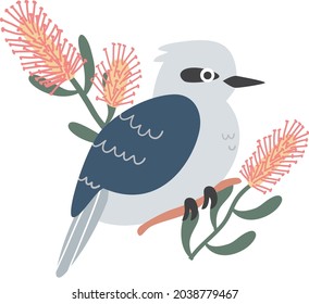 Ave Kookaburra Kingfisher australiana con flores de Banksia