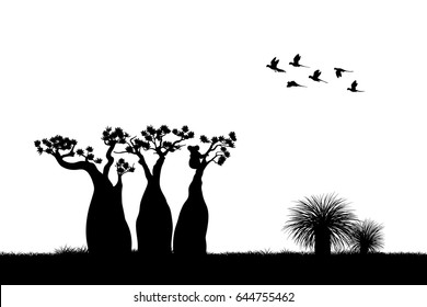 Australian landscape. Black silhouette of koala and parrots on white background. The nature of Australia. Isolated vector graphic