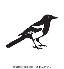 Ilustração do vetor da silhueta da magpie australiana