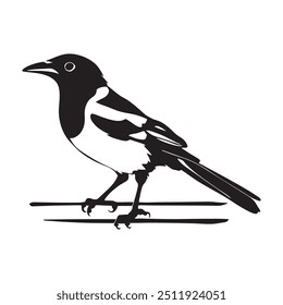 Australian magpie silhouette vector illustration