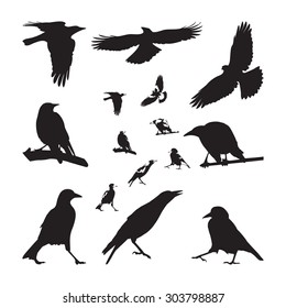 Australian Magpie Silhouettes Set