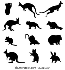 Australian marsupial animals