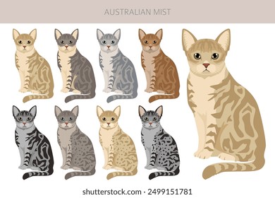 Australian Mist cat clipart. All coat colors set.  All cat breeds characteristics infographic. Vector illustration