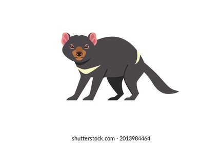 Australian native animal Tasmanian Devil (Sarcophilus harrisii) side angle view, flat style vector illustration isolated on white background