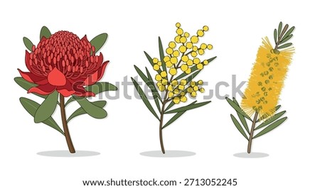 Australian native flowers collection with transparent background
