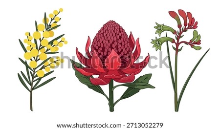 Australian native flowers with transparent background